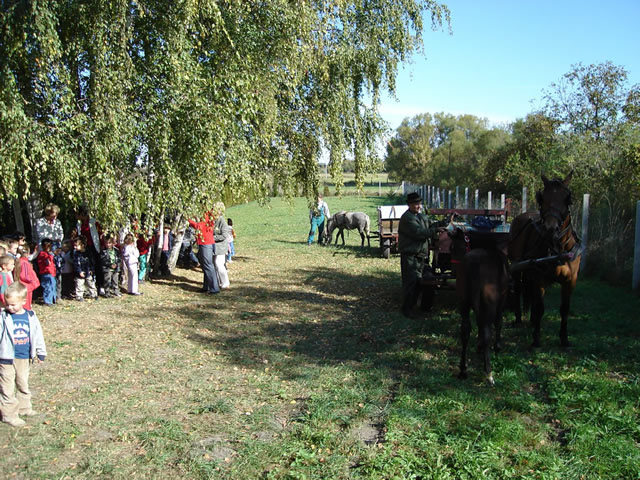 allatok_napja 003